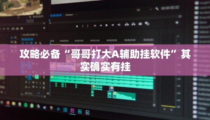 攻略必备“哥哥打大A辅助挂软件”其实确实有挂

