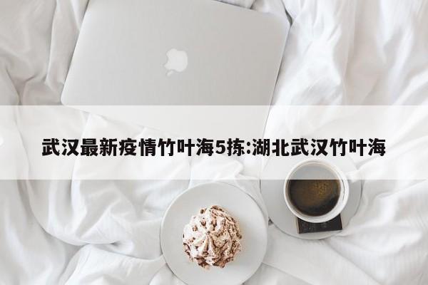 武汉最新疫情竹叶海5拣:湖北武汉竹叶海
