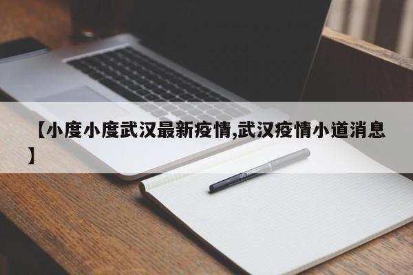 【小度小度武汉最新疫情,武汉疫情小道消息】