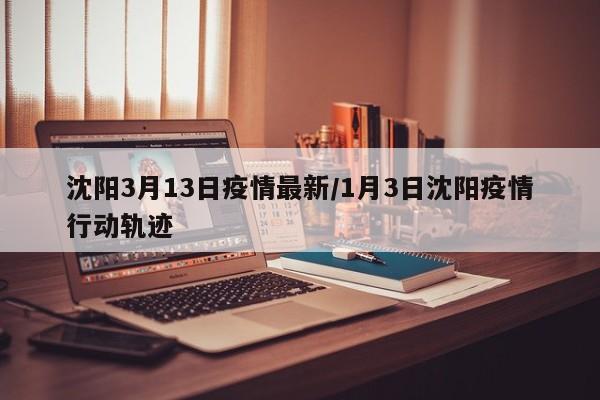 沈阳3月13日疫情最新/1月3日沈阳疫情行动轨迹
