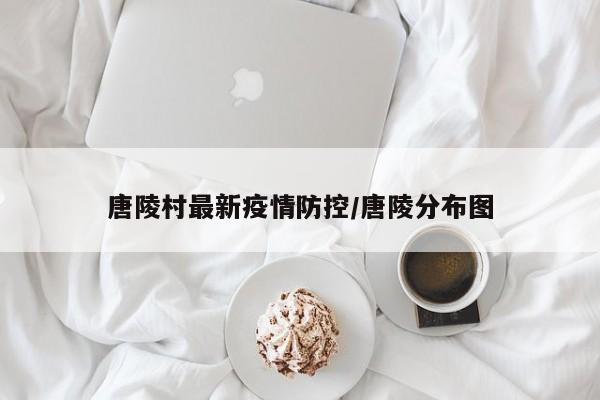 唐陵村最新疫情防控/唐陵分布图